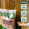 Cedar Lawn Patio Granules | Use on Fleas, Ticks, Ants,