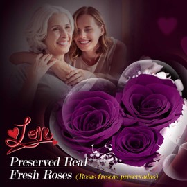 ADDWel Romantic Roses Gifts for Her, Preserved Purple Roses Forever Flowers with Sterling Silver Necklace for Wife Girlfriend on Birthday Anniversary Mothers Day Christmas