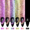 MTSSII 9D Cat Eye Gel Nail Polish with Magnet Glitter