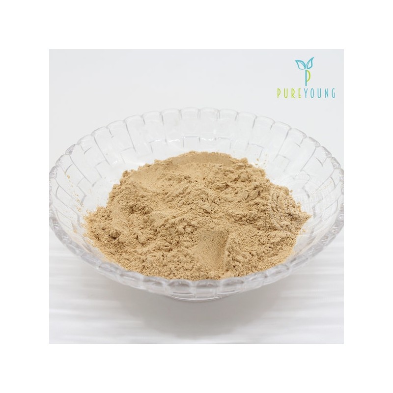 Pure Young Domestic Roasted Macmundong Powder 300g / 퓨어영 국내산