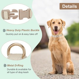 Petiry Comfortable Dog Collar Large,Gentle on Skin,Durable Plastic Buckle for Female Dogs,White,L