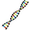 ibasenice Kids Toys Kids Toys Childrens Toys Kids DNA Model