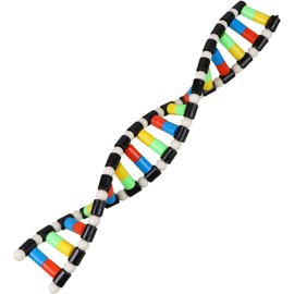 ibasenice Kids Toys Kids Toys Childrens Toys Kids DNA Model Kit,DNA Model Double Helix Model DNA Display Component for Science Teaching Display Watson Crick Model Educational Toys Educational Toys
