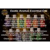 Precious Aromas Rosemary Oil for Hair Growth,Skin,Aromatherapy 100% Pure &