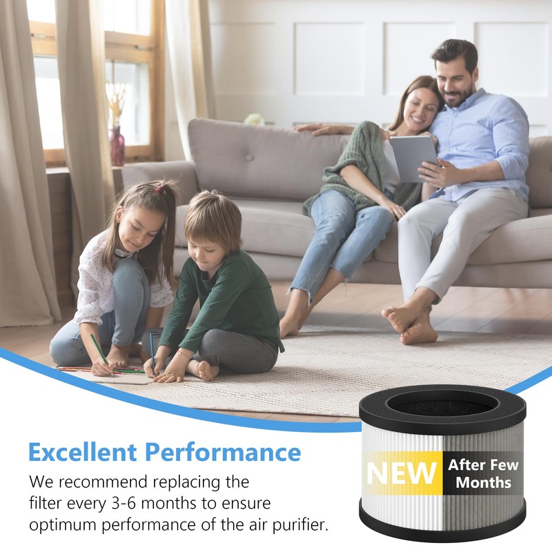GoKBNY 2-Pack BW302 True HEPA Replacement Filter Compatible with LUNINO
