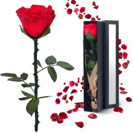 YAMPP Flowers for Delivery Prime Gifts for Women: Preserved Rose Gifts for Mom Wife Grandma Birthday Single Rose Red