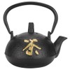 Iron Teapot Kettle Uncoated with Strainer 0.3L Tea and Zen