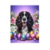Springer Spaniel Black/White - Best of Breed DCR Easter Holiday