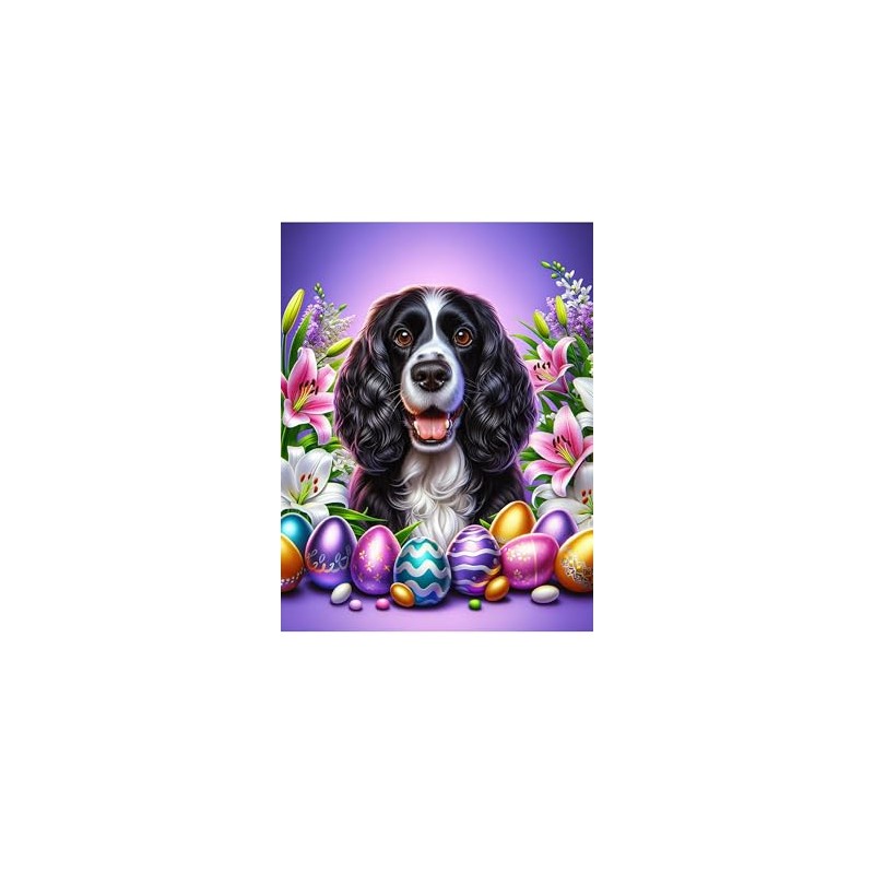 Springer Spaniel Black/White - Best of Breed DCR Easter Holiday