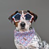 Lionheart Glory American Flag Washable Soft Dog Scarf, Square Adjustable