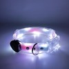 Glispenoe Dog Collar, Waterproof Lighted Safety Collar for Small Medium