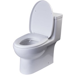 EAGO TB359 Dual Flush Eco-Friendly Ceramic Toilet, 1-Piece