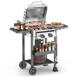 ‌2-Burner Gas Grill, Stainless Steel 160,00 BTU BBQ Grill with Foldable Side Shelves & Storage Shelf – Ideal Propane Grill for Outdoor Barbecues, Patio Gatherings, and Camping