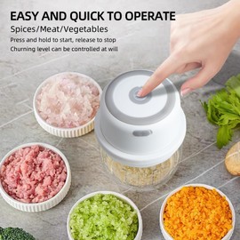 Electric Garlic Chopper Portable Small Food Processor, 300ML Onion Chopper, Glass Containers Garlic Mincer, One-Touch Press Veggie Chopper, Food Chopper For Ginger, Chili, Fruit, Meat, Spices, Beans