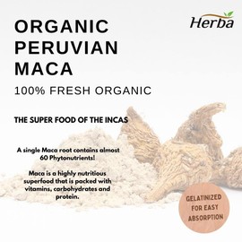Herba Organic Maca for Men & Women - 200 Capsules | 100% Organic Gelatinized Maca Root | 500mg Peruvian Yellow Maca per Vegetable Capsule | Product of Canada