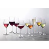 Luigi Bormioli Vinoteque 20 oz Ricco Red Wine Glasses, 6