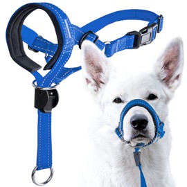 GoodBoy Dog Head Halter with Safety Strap - Stops Heavy Pulling On The Leash - Padded Headcollar for Small Medium and Large Dog Sizes - Head Collar Training Guide Included (Size 3, Blue Nylon)