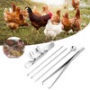 5Pcs Capon Knife Tool Stainless Steel Kit Poultry Farms Veterinary