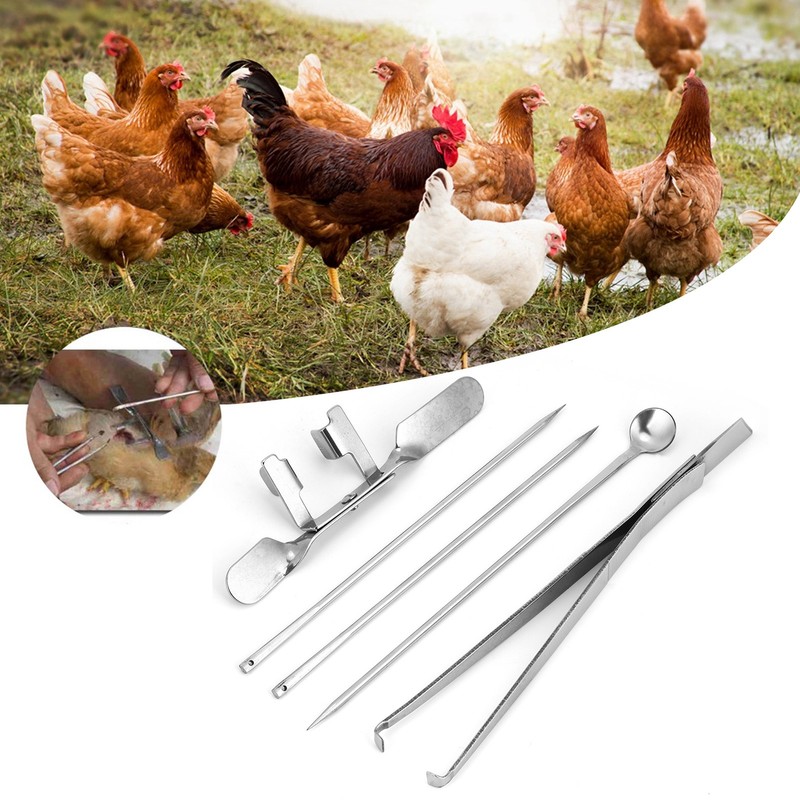 5Pcs Capon Knife Tool Stainless Steel Kit Poultry Farms Veterinary