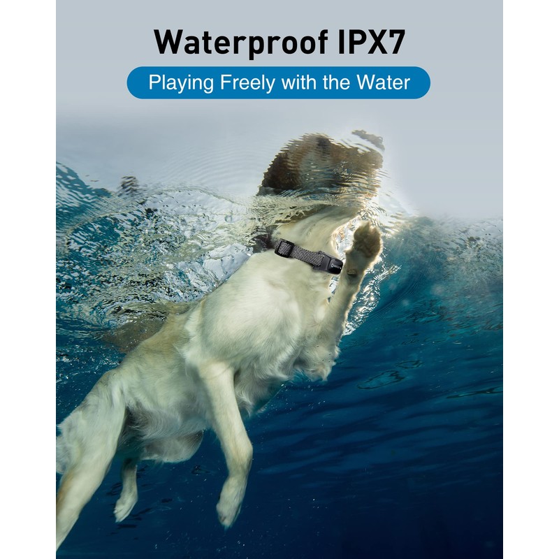 ABBIDOT Replacement Collar Receiver for Dog Training Collar T50, Waterproof