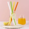 Ohana 1st Disposable Drinking Straws 550 Count for Take Out,