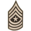 Army AGSU Sgt Major SGM E-9 Cloth Rank Female