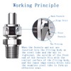 Pysrych 304 Stainless Steel Compression Fitting 1/4" Tube OD x