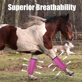 Mesh Horse Fly Boots Set of 4, Breathable Loose Fitting Leggings for Horses, Reduces Stomping & Fatigue, Leg Fly Protection (Rose red)