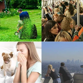 WoodyKnows Super-Defense Nasal Filters, seasonal allergies and industrial pollution aid, public transportation and pet grooming protection (Round, S, 6 Pack)