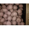 Milkweed Monarchy 100 Organic Milkweed Seed Balls - Enhance Garden,