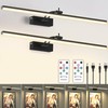 23.6 Inch Picture Light for Wall, 2 Pack 6400mAh Rechargeable