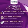 Pack x2 Kits Tinte Para El Cabello Palette 1-0 Negro