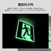 Eltai TSN 801 Emergency Exit TSN Series Fire Service Certified