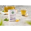 Lebensbaum Fasting Herbs, 20 Bags x 1.5 g Herbal Tea