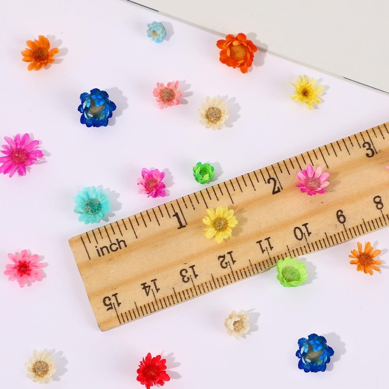 Neiang Dried Flowers for Resin Use, 400 Pieces Pressed Flowers,