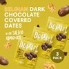 DORREL - Belgian Dark Chocolate Covered Dates (Medjool) with Salted