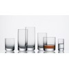 Schott Zwiesel Tritan Crystal Glass Convention Barware Collection Beer Tumbler/Long