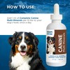 Beam Minerals Complete Canine Multi-Minerals | Full-Spectrum Minerals for Dogs