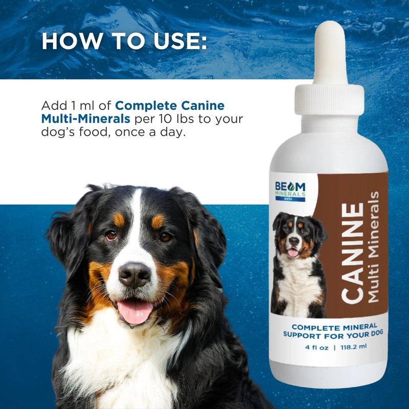 Beam Minerals Complete Canine Multi-Minerals | Full-Spectrum Minerals for Dogs