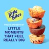 (Value Pack) Little Bites Chocolatey Chip Muffins, 10 individual packs,