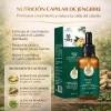 Serum Tratamiento Capilar De Jengibre Zhenxiu Nutriente