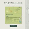 Luxmi Estates Citrus Sky Lemongrass Ginger Green Tea 50 Tea
