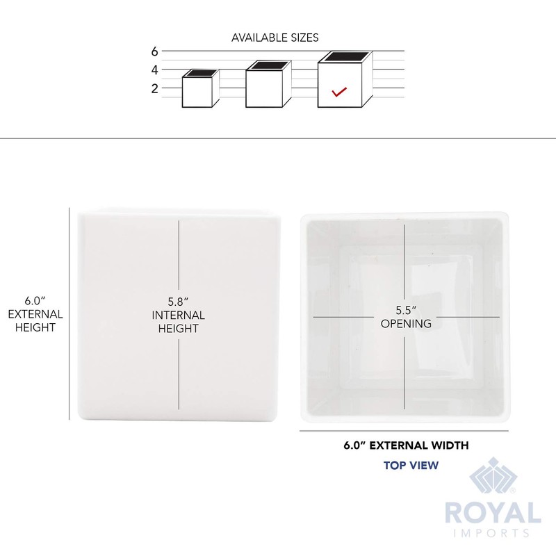 Royal Imports Flower Acrylic Vases Cubes - Decorative Centerpiece for