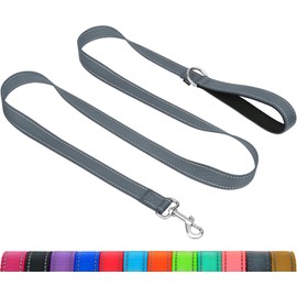 Taglory Reflective Dog Lead with Soft Padded Handle and Metal Hook, Robust Dog Lead for Small Medium Large Dogs, 1.2 m, 1.8 m