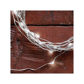 String Lights String Lights