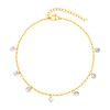 Gold Ankle Bracelet for Women,18k Gold Plated Titanium Dainty White