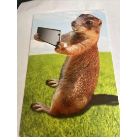 american greetings Chipmunk Selfie Card Retail Price 3.29