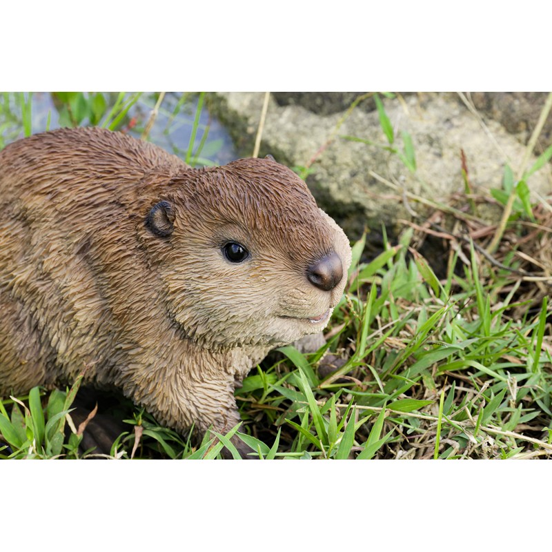 Hi-Line Gift American Beaver CUB Statue, Brown