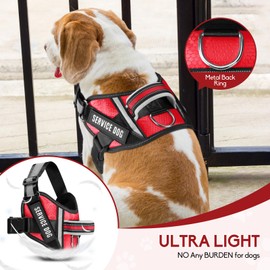 Service Dog Vest Harness and Leash Set, Animire in Training Dog Harness with 10 Dog Patches, Reflective Dog Leash with Soft Padded Handle for Small, Medium, Large, and Extra-Large Dogs (RED,XL)