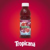Tropicana Cranberry Cocktail Juice, 10 Ounce (Pack of 24)